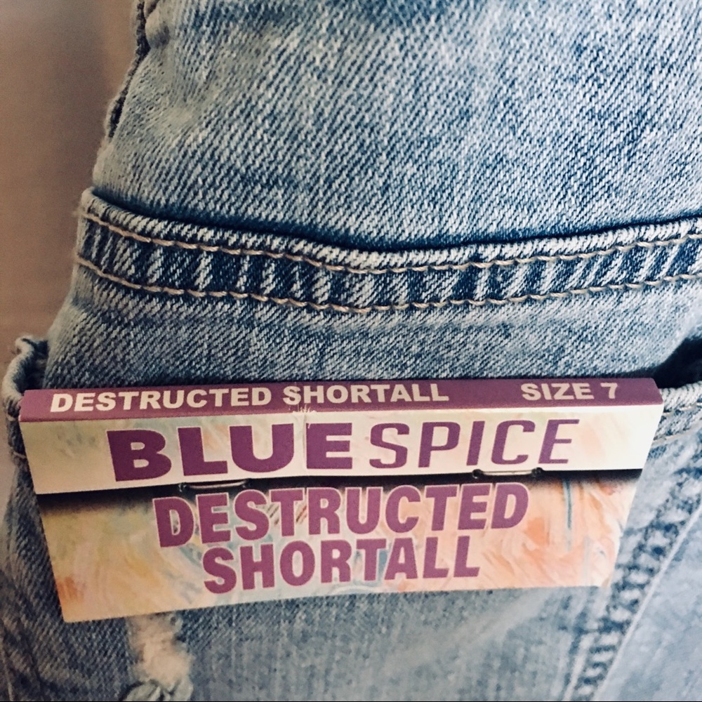 BLUESPICE Shortall - Picture 12 of 13